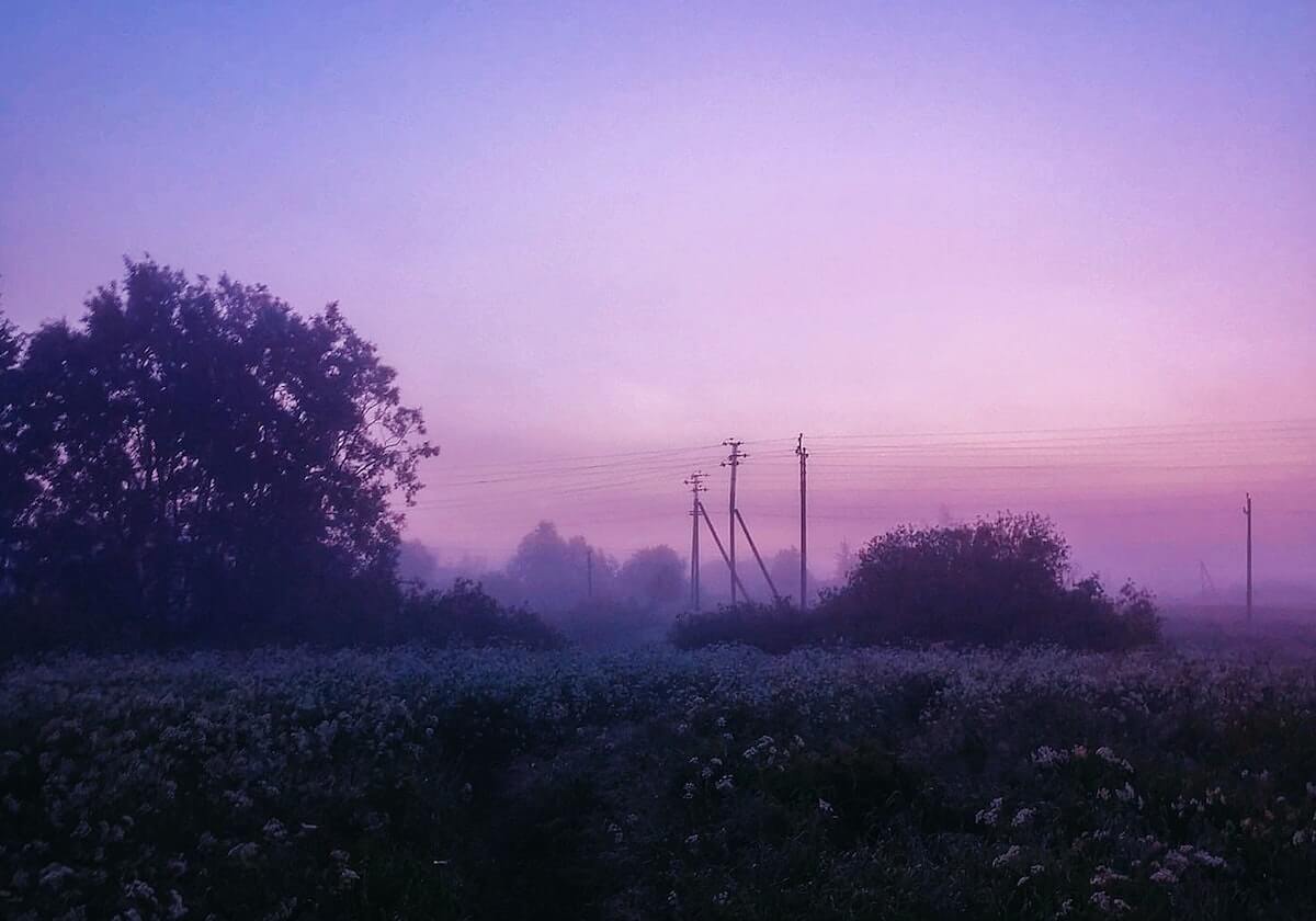 开云官网APP-广东女排苦战五局胜上海 半决赛遭遇卫冕冠军天津
